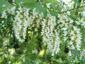 Similar image 1340903