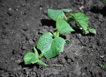 Similar image 1340934