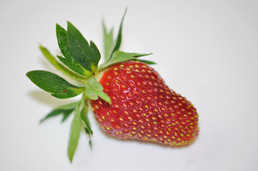 Similar image 1340935