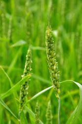 Similar image 1340937