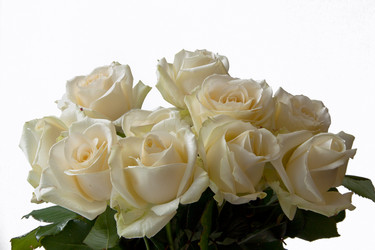 Similar image 1340949