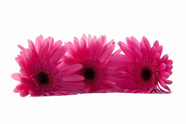 Similar image 1340953