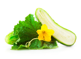 Similar image 1340970