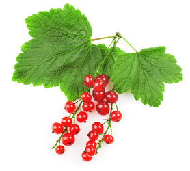 Similar image 1340971