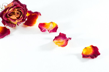 Similar image 1340997