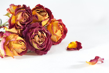 Similar image 1341002