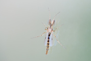 Similar image 1341008