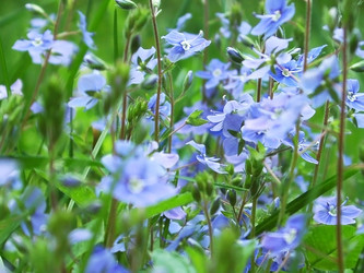 Similar image 1341019