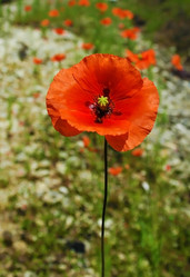 Similar image 1341021