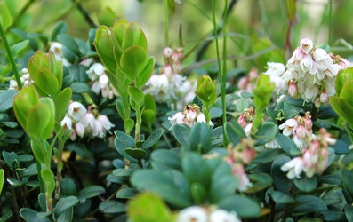 Similar image 1341023