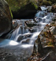 Similar image 1341025