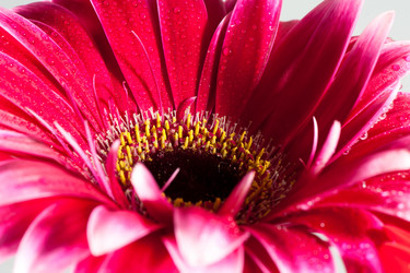 Similar image 1341043