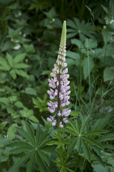 Similar image 1341052