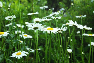 Similar image 1341058