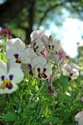 Similar image 1341059