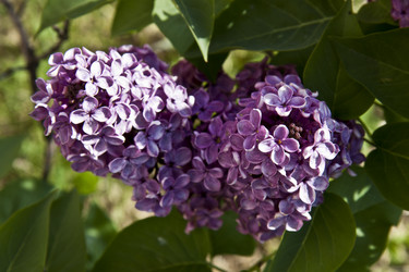 Similar image 1341067