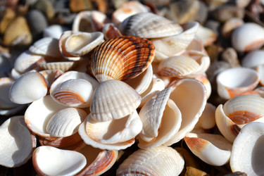 Similar image 1341070