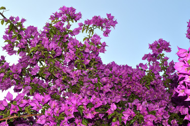 Similar image 1341072