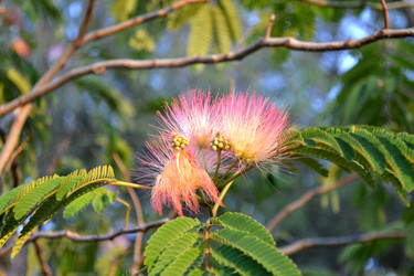 Similar image 1341075