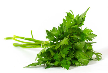 Similar image 1341084