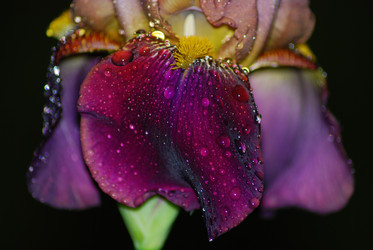 Similar image 1341100