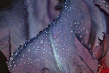 Similar image 1341102