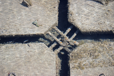 Similar image 1341149