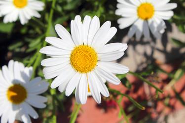 Similar image 1341175