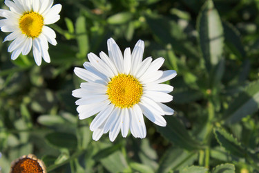 Similar image 1341176