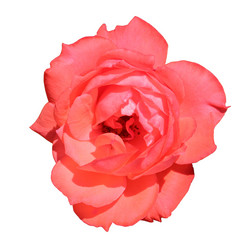 Similar image 1341177