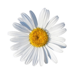 Similar image 1341179