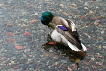 Similar image 1341183