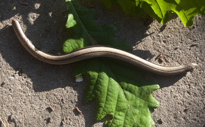 Similar image 1341186