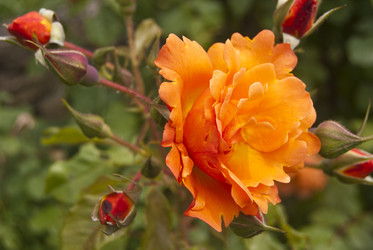 Similar image 1341188