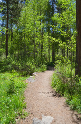 Similar image 1341208