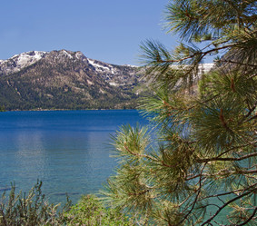 Similar image 1341210