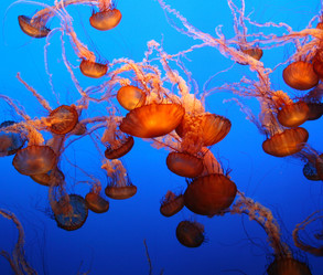 Similar image 1341213