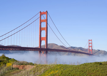 Similar image 1341216