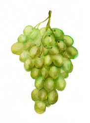 Similar image 1341275