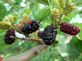 Similar image 1341294