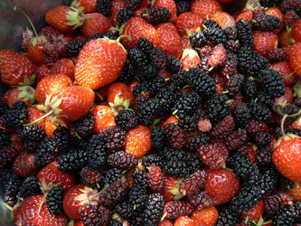 Similar image 1341295