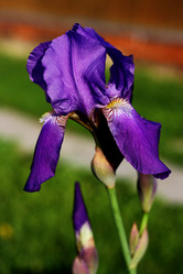 Similar image 1341304