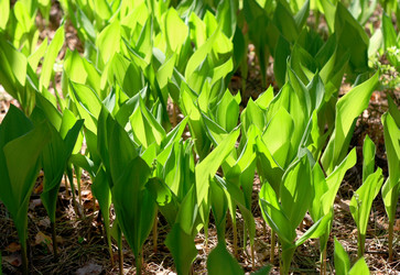 Similar image 1341308