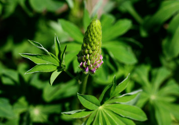 Similar image 1341310