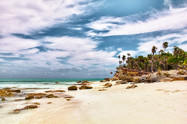 Similar image 1341317