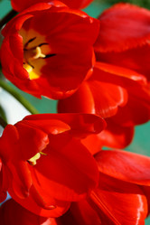 Similar image 1341349