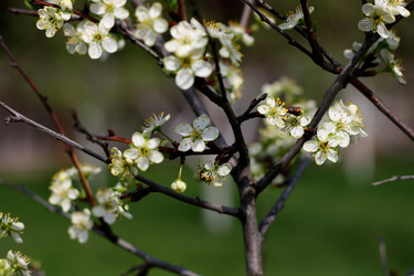 Similar image 1341352