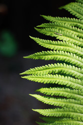 Similar image 1341354