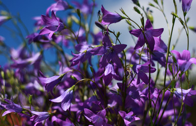 Similar image 1341360