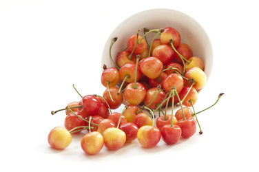 Similar image 1341371